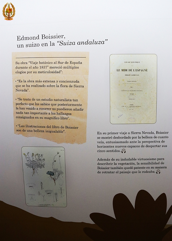 50 Aniversario 072.jpg